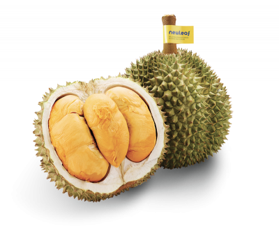 durian d200