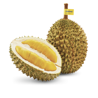 D197 Musang King Durian