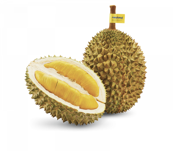 D197 Musang King Durian